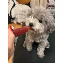 うづき ふうか