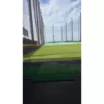 椿