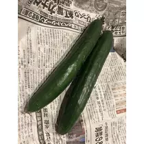 美月