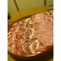 白石 愛莉
