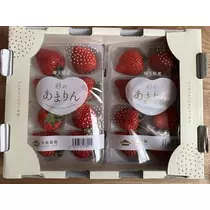 白石 愛莉