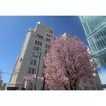 高瀬 美羽