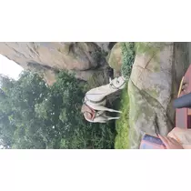 あおい