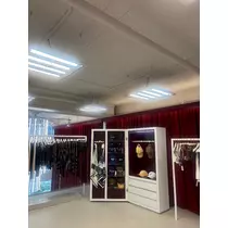 紬 ひい