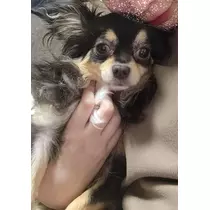 姫宮 あい