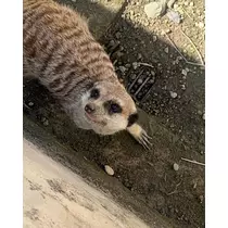 そら