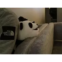立華 碧