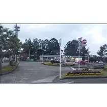 桃瀬 百華