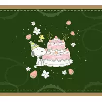 あやの