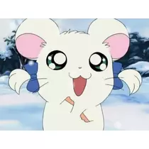 かびるんるんさわ