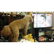 仁華