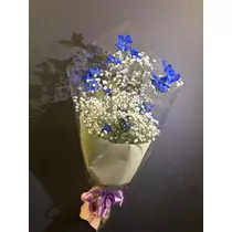 ふう
