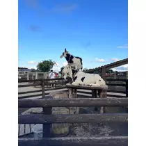 あすか