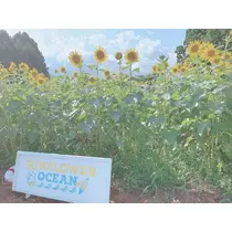 りな