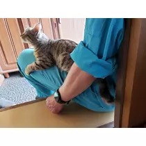 エミ （スタッフ）