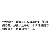 立華 碧