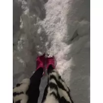 荒木 ナツミ