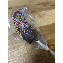 白石 愛莉