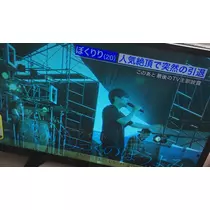 七星 夏純