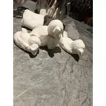 神永 莉聖