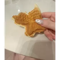 夏目 かんな