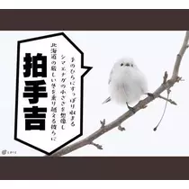 ひな