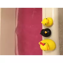 妃 えりか