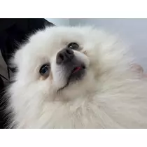 ゆな