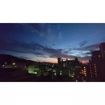 らん