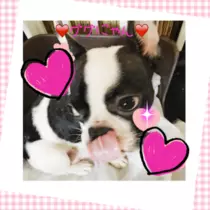 妃 えりか