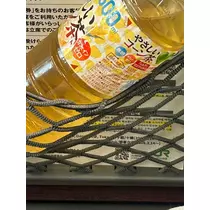 空条 しいな