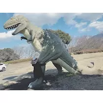 さくら