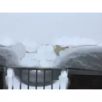 えりか