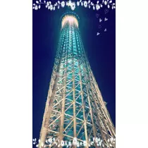 愛矢