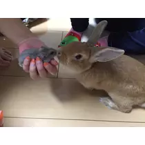 如月 凛