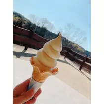 椿綺 楓