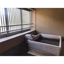 紫月 あやか