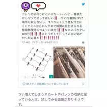 七星 夏純