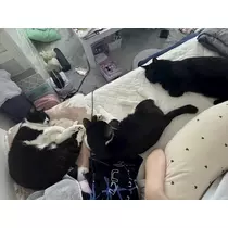 サキ