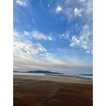 成海 まお