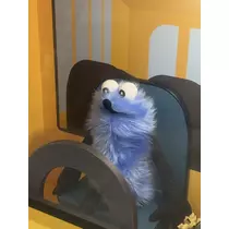 あみ