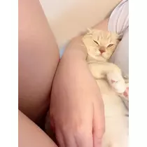 あおい