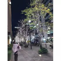りい