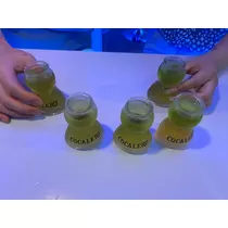かほ