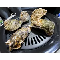 美月