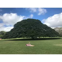 諸星 海