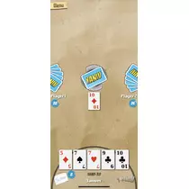 七星 夏純