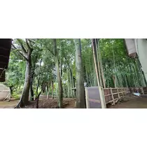 りか