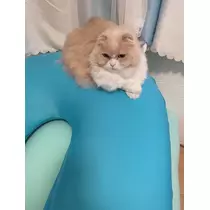 もえ