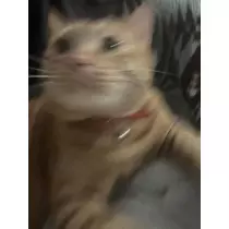神永 莉聖
